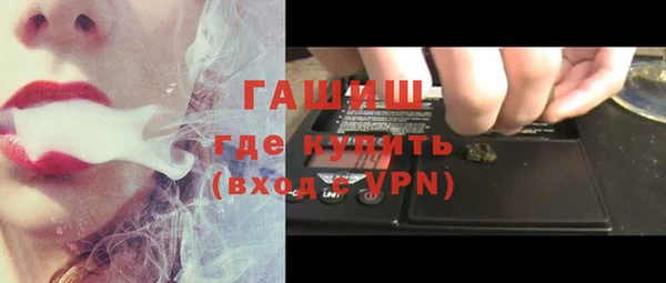 твердый Инсар