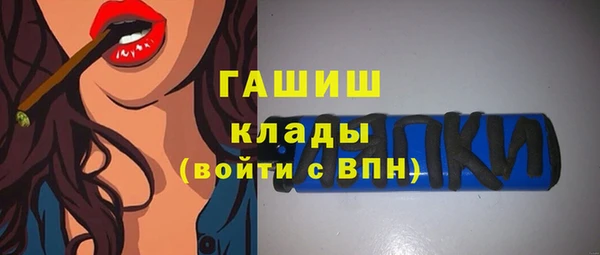 твердый Инсар
