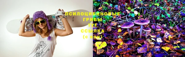 твердый Инсар