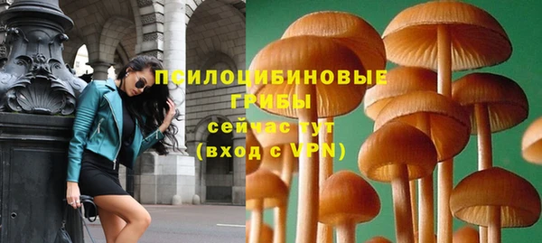 твердый Инсар