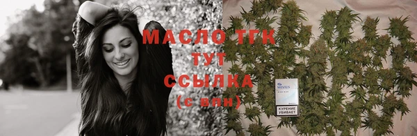 твердый Инсар